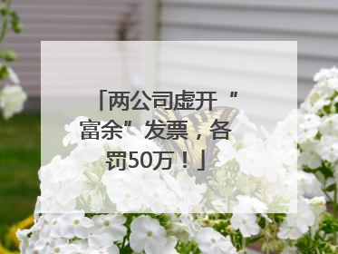 两公司虚开“富余”发票，各罚50万！