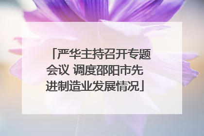 严华主持召开专题会议 调度邵阳市先进制造业发展情况
