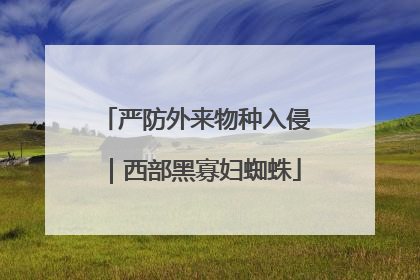 严防外来物种入侵｜西部黑寡妇蜘蛛