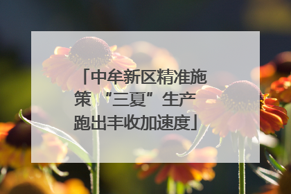 中牟新区精准施策 “三夏”生产跑出丰收加速度