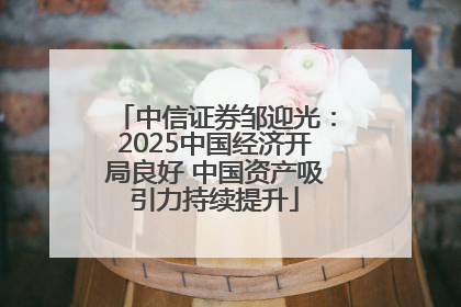 中信证券邹迎光：2025中国经济开局良好 中国资产吸引力持续提升