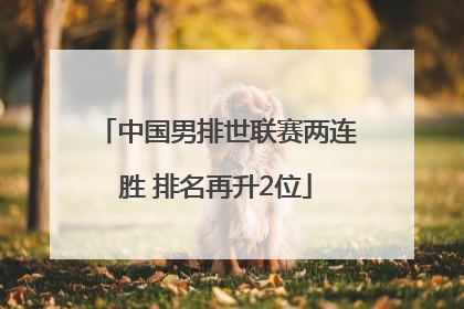 中国男排世联赛两连胜 排名再升2位