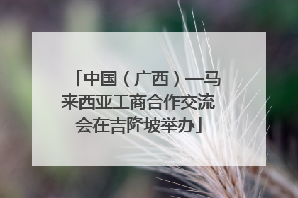 中国（广西）—马来西亚工商合作交流会在吉隆坡举办