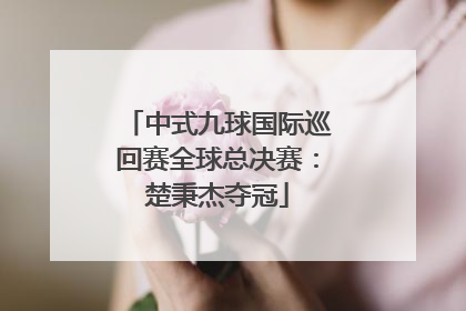 中式九球国际巡回赛全球总决赛：楚秉杰夺冠