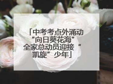 中考考点外涌动“向日葵花海” 全家总动员迎接“凯旋”少年