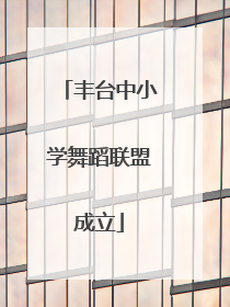 丰台中小学舞蹈联盟成立