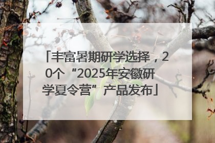 丰富暑期研学选择，20个“2025年安徽研学夏令营”产品发布