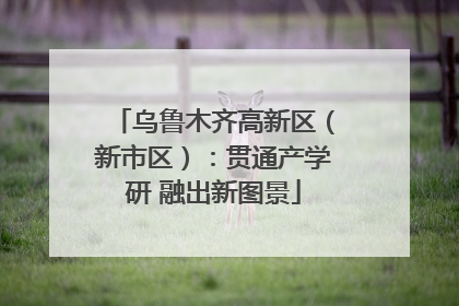 乌鲁木齐高新区（新市区）：贯通产学研 融出新图景