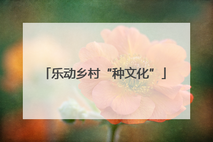 乐动乡村“种文化”