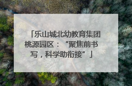 乐山城北幼教育集团桃源园区：“聚焦前书写，科学助衔接”