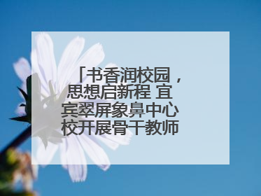 书香润校园，思想启新程 宜宾翠屏象鼻中心校开展骨干教师读书分享活动