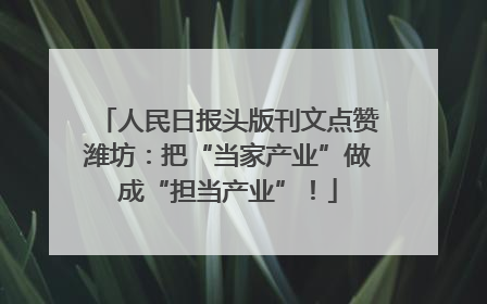人民日报头版刊文点赞潍坊：把“当家产业”做成“担当产业”！