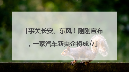 事关长安、东风！刚刚宣布，一家汽车新央企将成立