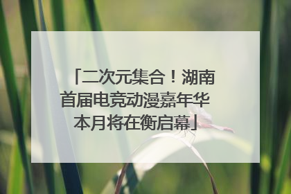 二次元集合！湖南首届电竞动漫嘉年华本月将在衡启幕