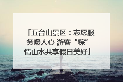 五台山景区：志愿服务暖人心 游客“粽”情山水共享假日美好