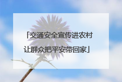 交通安全宣传进农村 让群众把平安带回家