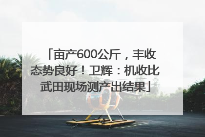 亩产600公斤，丰收态势良好！卫辉：机收比武田现场测产出结果