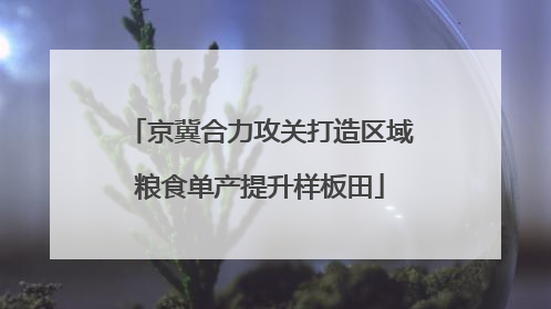 京冀合力攻关打造区域粮食单产提升样板田