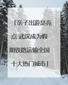 亲子出游是亮点 武汉成为假期铁路运输全国十大热门城市