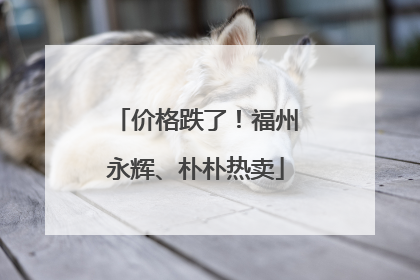 价格跌了！福州永辉、朴朴热卖