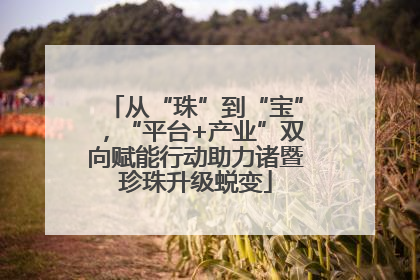 从“珠”到“宝”，“平台+产业”双向赋能行动助力诸暨珍珠升级蜕变