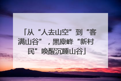 从“人去山空”到“客满山谷”，黑麋峰“新村民”唤醒沉睡山谷