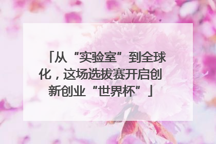 从“实验室”到全球化，这场选拔赛开启创新创业“世界杯”