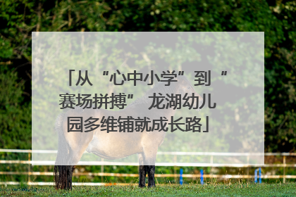 从“心中小学”到“赛场拼搏” 龙湖幼儿园多维铺就成长路