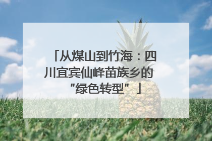 从煤山到竹海：四川宜宾仙峰苗族乡的“绿色转型”