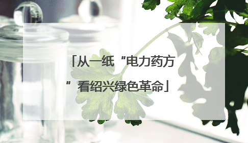 从一纸“电力药方”看绍兴绿色革命