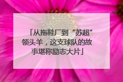 从拖鞋厂到“苏超”领头羊，这支球队的故事堪称励志大片