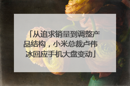 从追求销量到调整产品结构，小米总裁卢伟冰回应手机大盘变动