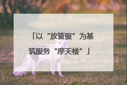 以“放管服”为基筑服务“摩天楼”