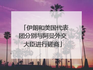 伊朗和美国代表团分别与阿曼外交大臣进行磋商