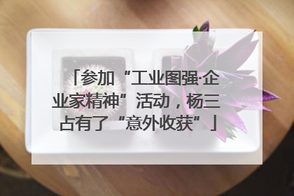 参加“工业图强·企业家精神”活动，杨三占有了“意外收获”
