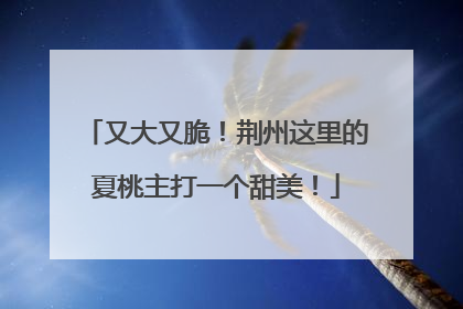 又大又脆！荆州这里的夏桃主打一个甜美！