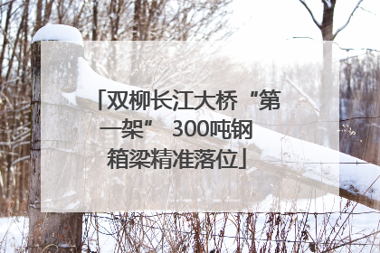 双柳长江大桥“第一架” 300吨钢箱梁精准落位