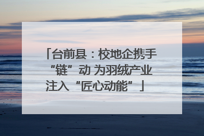 台前县：校地企携手“链”动 为羽绒产业注入“匠心动能”