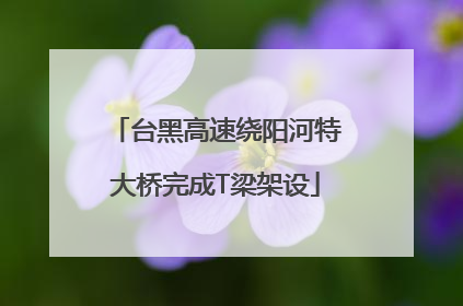 台黑高速绕阳河特大桥完成T梁架设
