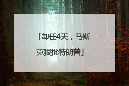 卸任4天，马斯克狠批特朗普