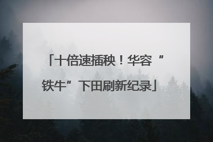 十倍速插秧！华容“铁牛”下田刷新纪录