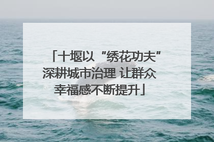 十堰以“绣花功夫”深耕城市治理 让群众幸福感不断提升