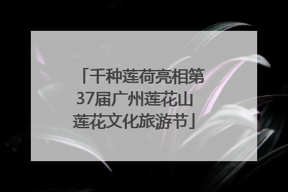 千种莲荷亮相第37届广州莲花山莲花文化旅游节