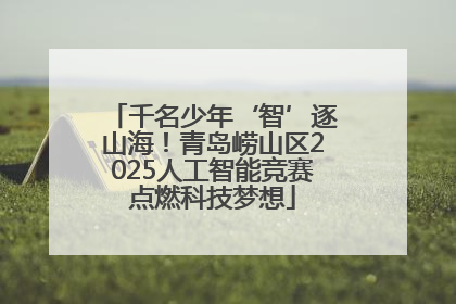 千名少年‘智’逐山海！青岛崂山区2025人工智能竞赛点燃科技梦想