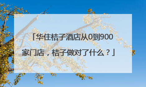 华住桔子酒店从0到900家门店，桔子做对了什么？