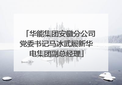 华能集团安徽分公司党委书记马冰武履新华电集团副总经理