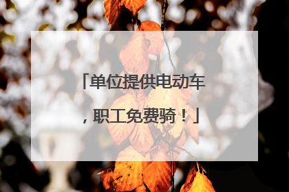 单位提供电动车，职工免费骑！