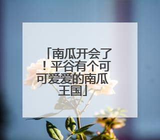 南瓜开会了！平谷有个可可爱爱的南瓜王国