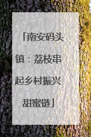 南安码头镇：荔枝串起乡村振兴甜蜜链