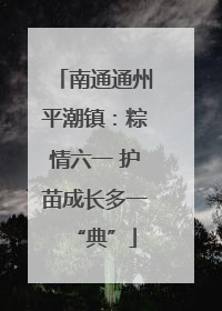 南通通州平潮镇：粽情六一 护苗成长多一“典”